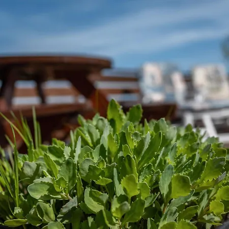 Huus Achtern Diek * Nordstrand