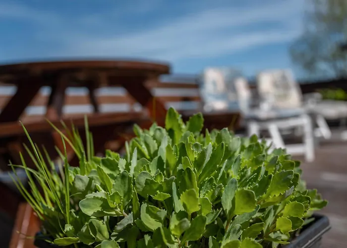 Huus Achtern Diek * Nordstrand